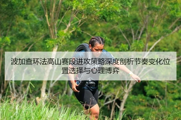 波加查环法高山赛段进攻策略深度剖析节奏变化位置选择与心理博弈